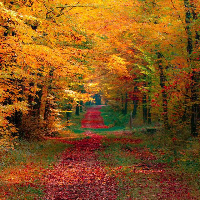 f4a48be7207ac440371b87204ce8fce9 copia