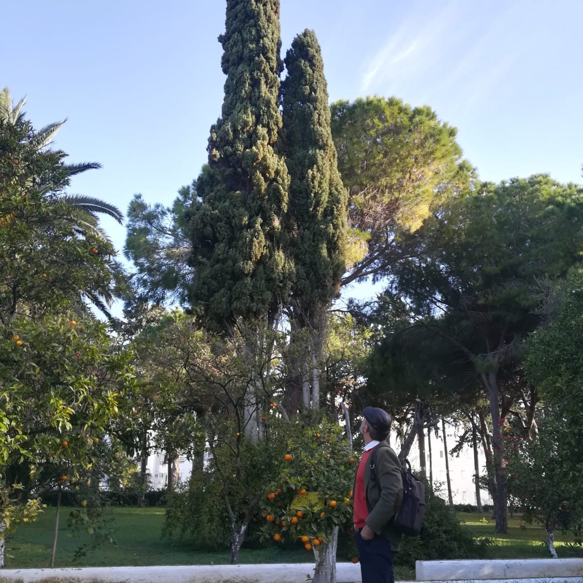 WhatsApp Image 2019-03-12 at 11.59.37