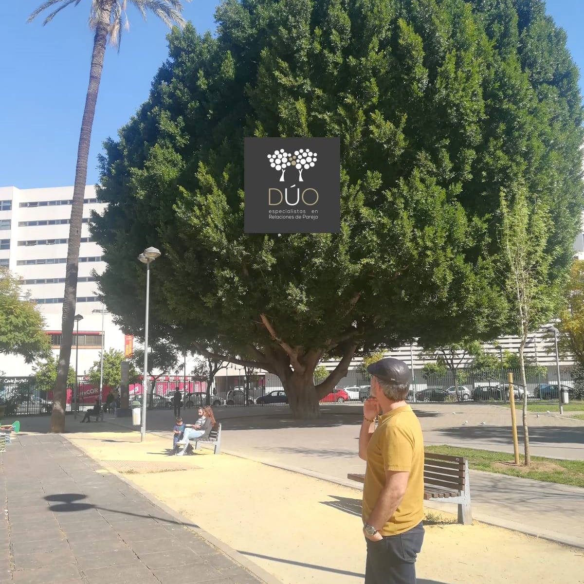 55793605_397283907721674_817929427206799360_o