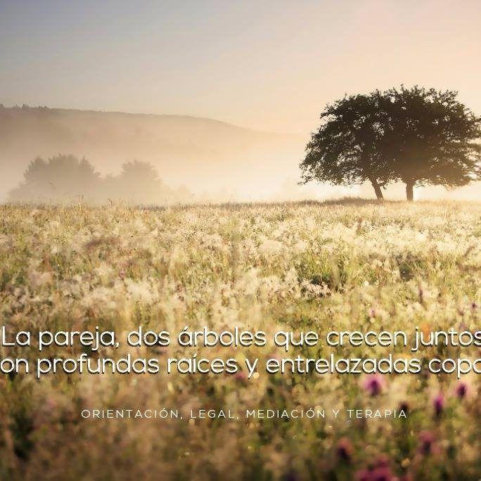 56439056_400775177372547_7956712943482044416_o