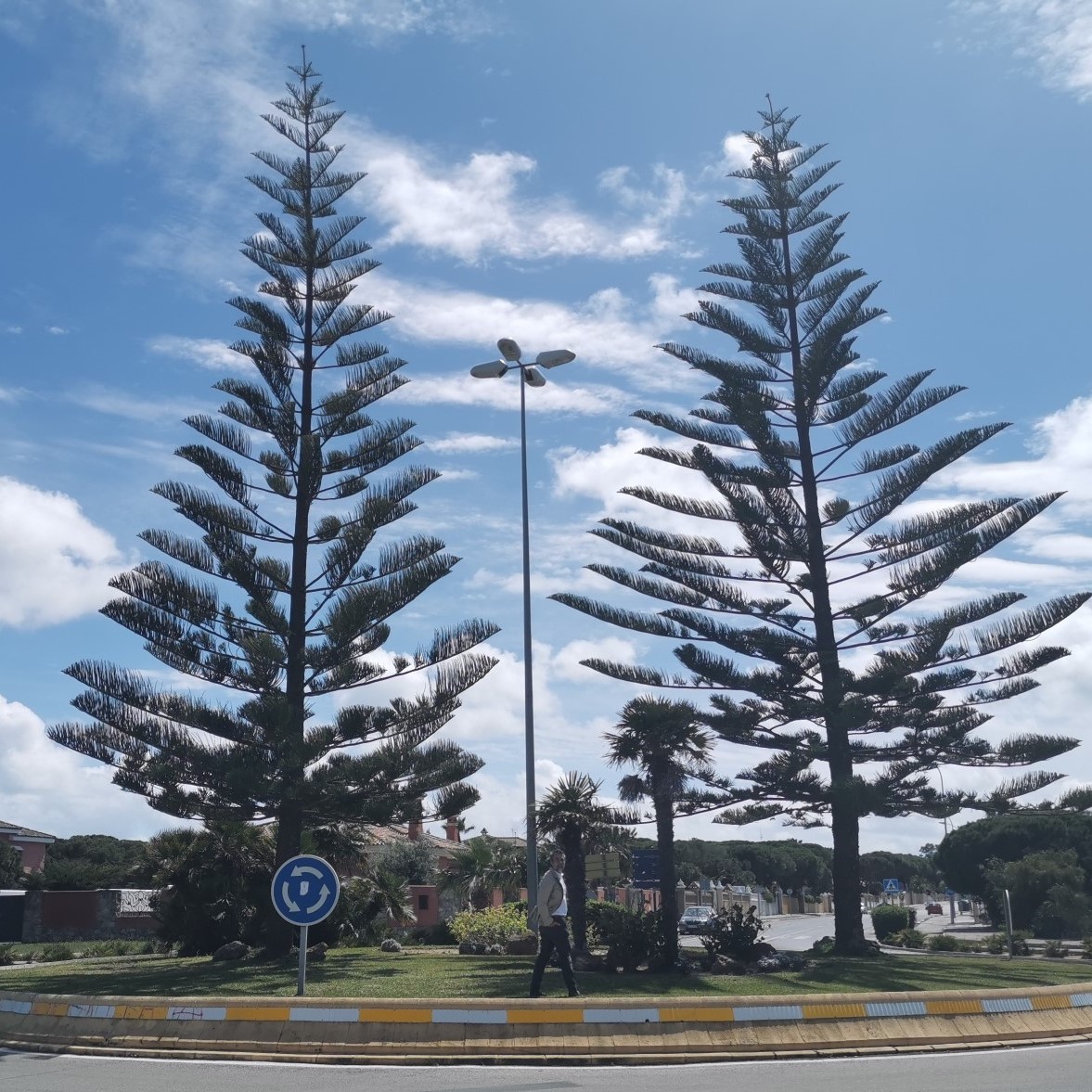 IMG_20190423_154428_resized_20190429_123633200a